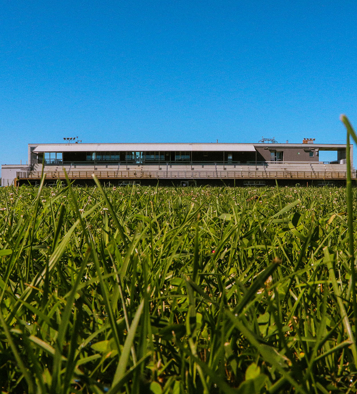 campo rugby conegliano
